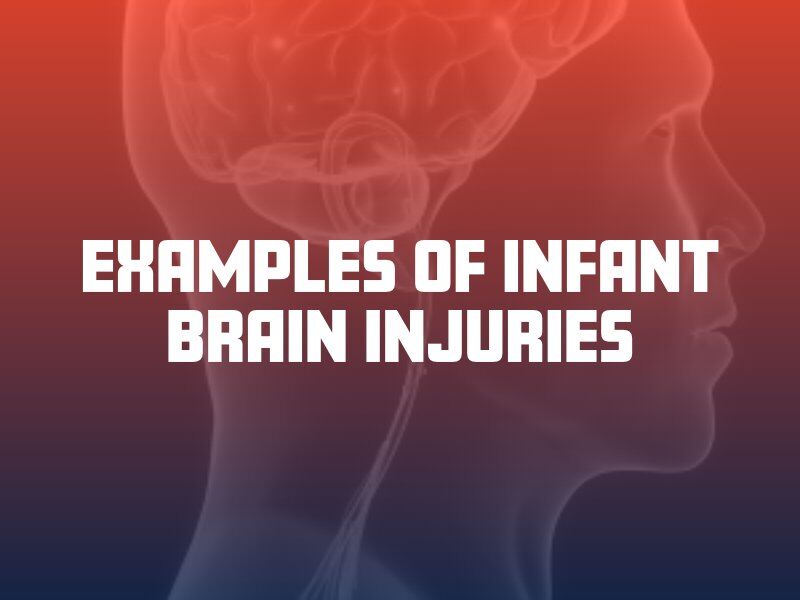 brain