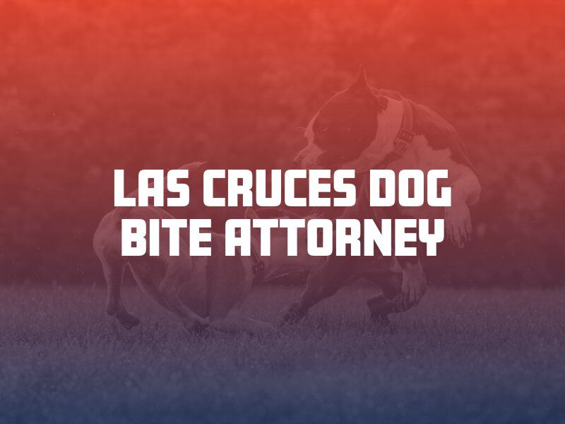 Las Cruces Dog Bite Attorney